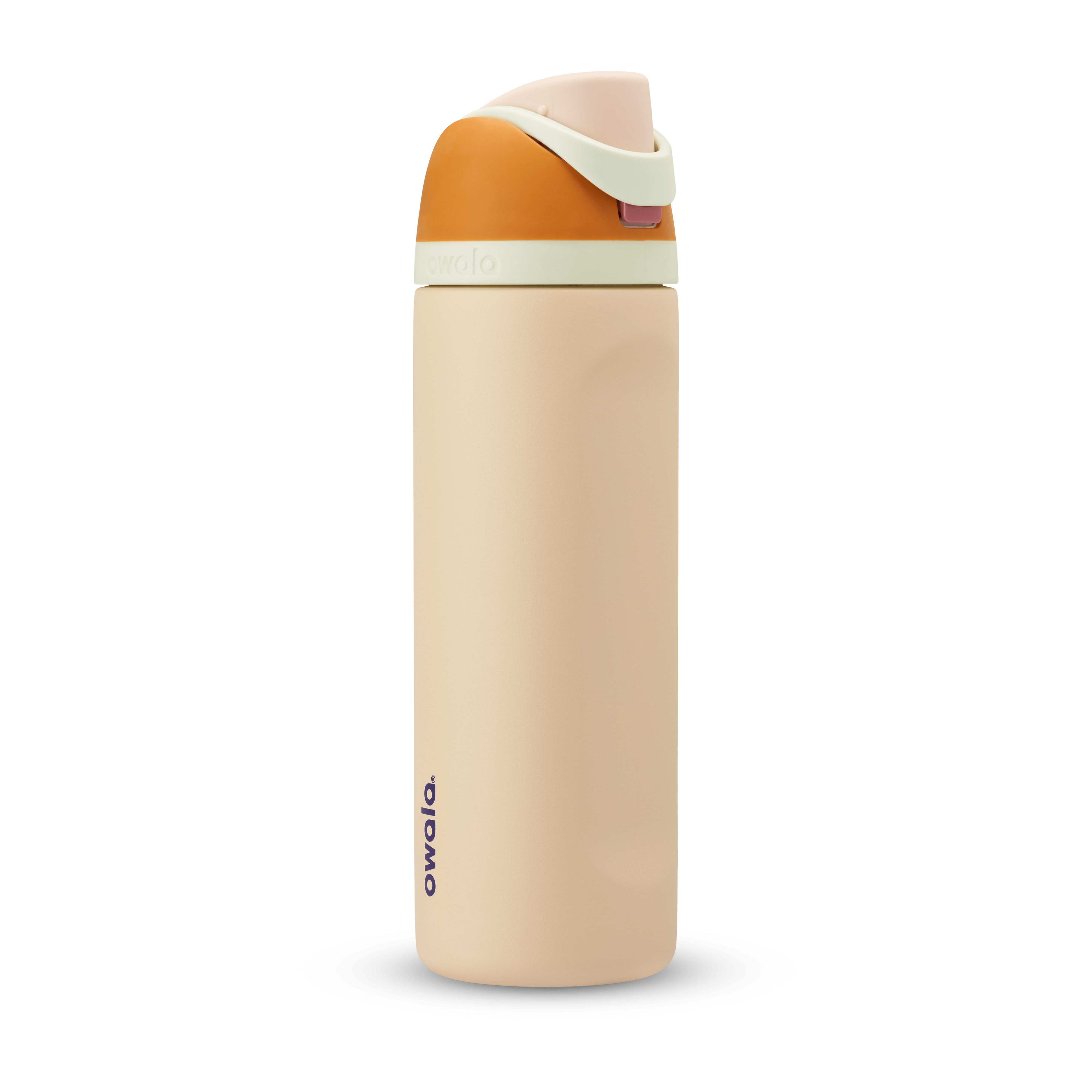 24Oz Water In The Desert Stainless Steel Freesip